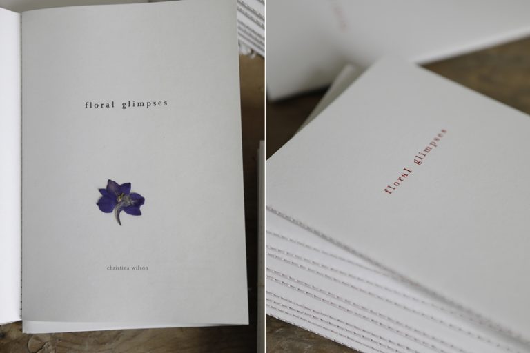 Stolen glimpses essay picture